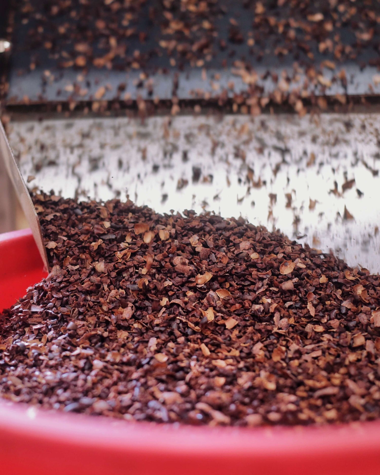 Image of cacao shells being removed using machine