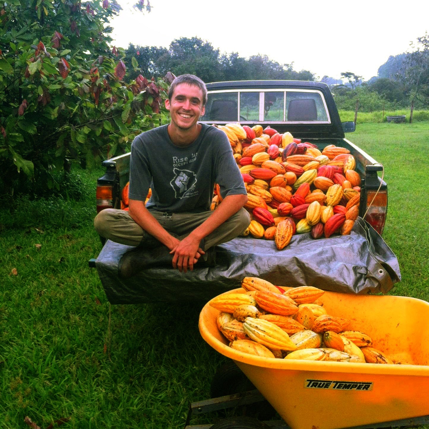 Image of man sitting in back of truck with fresh cacao pods
