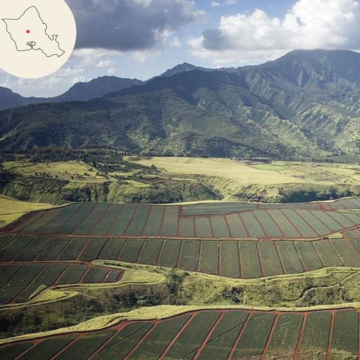 mililani farm land with oahu island map