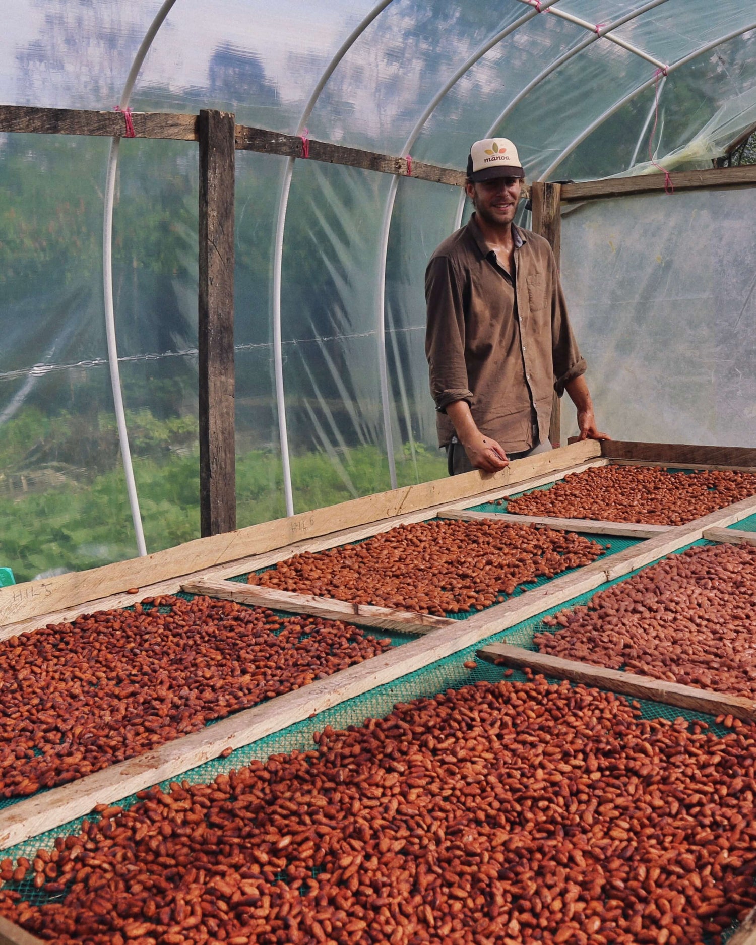 Image of man with dried cacao beans