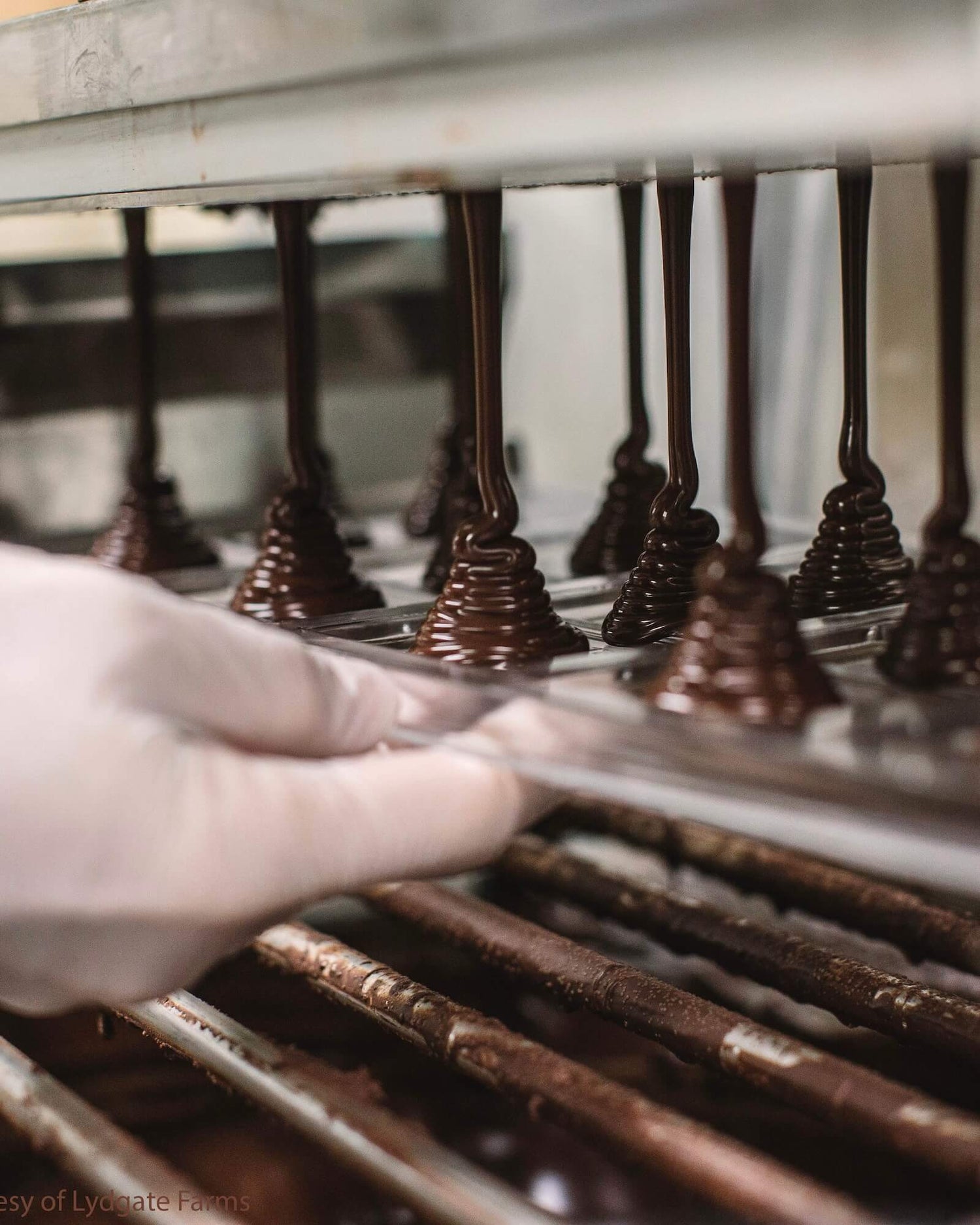 Image of liquid chocolate being dispensed into molds
