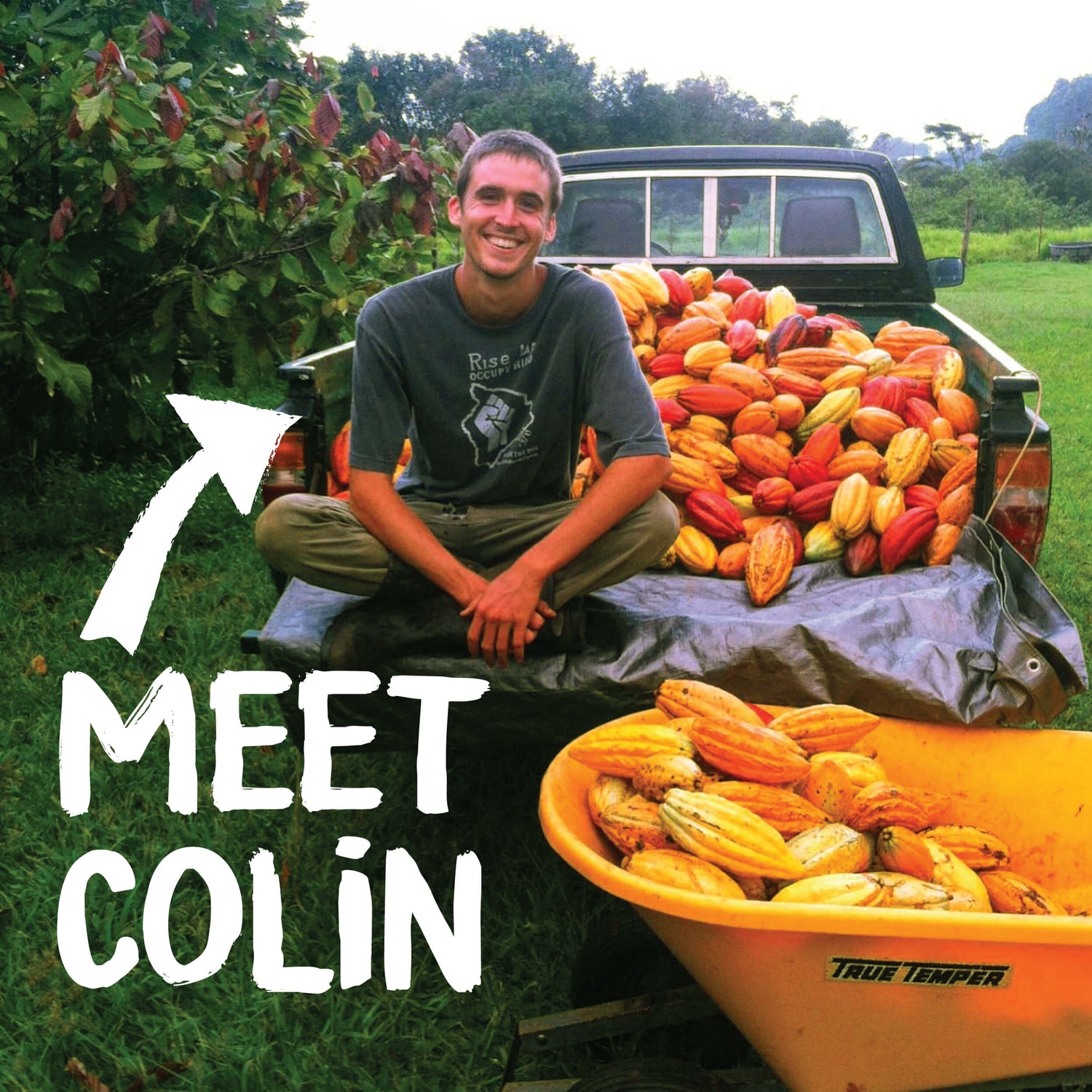 Image of farmer Colin Hart in bed of pickup truck with a bounty of cacao pods