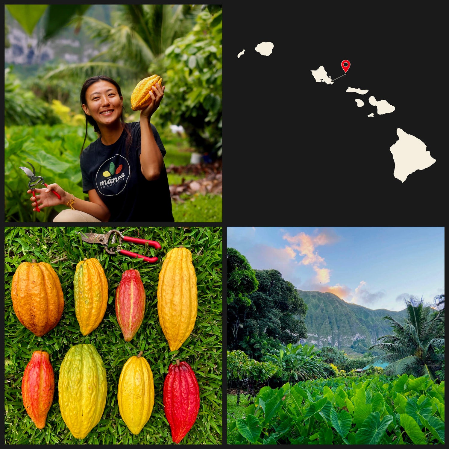 Images of cacao pods, farmland, and a map of the Hawaiian Islands