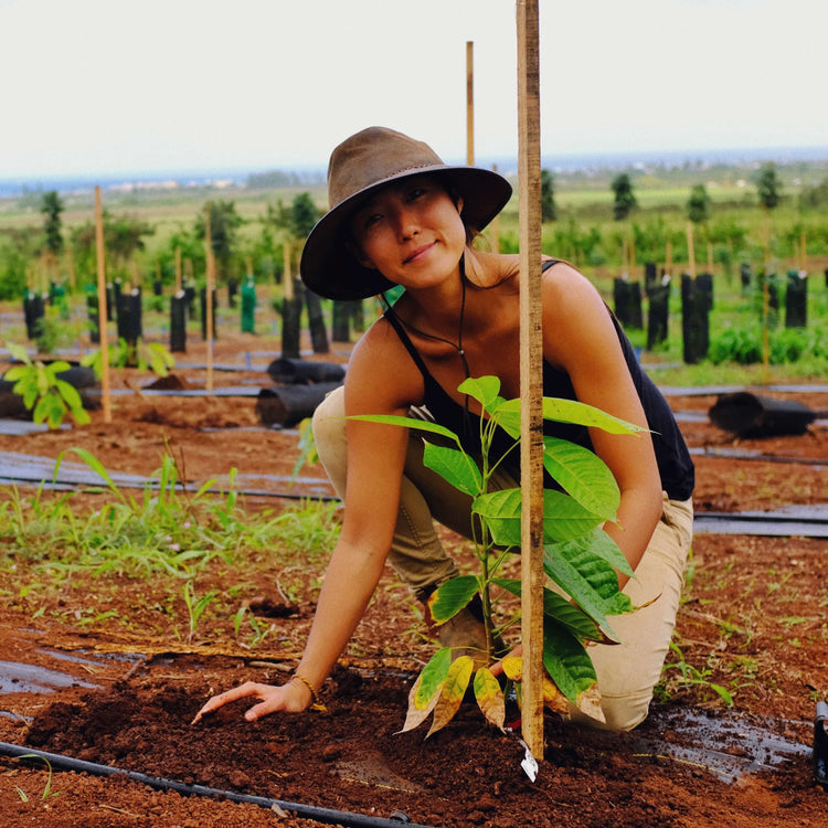 Woman planting a tree