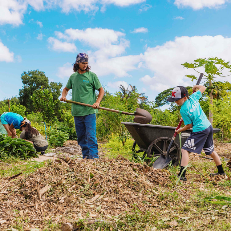 image of kokua learning farm kids gardening