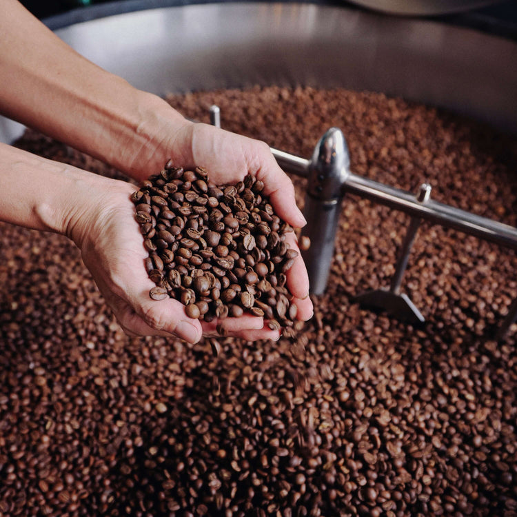 image of hands holding fresh roasted coffee beans