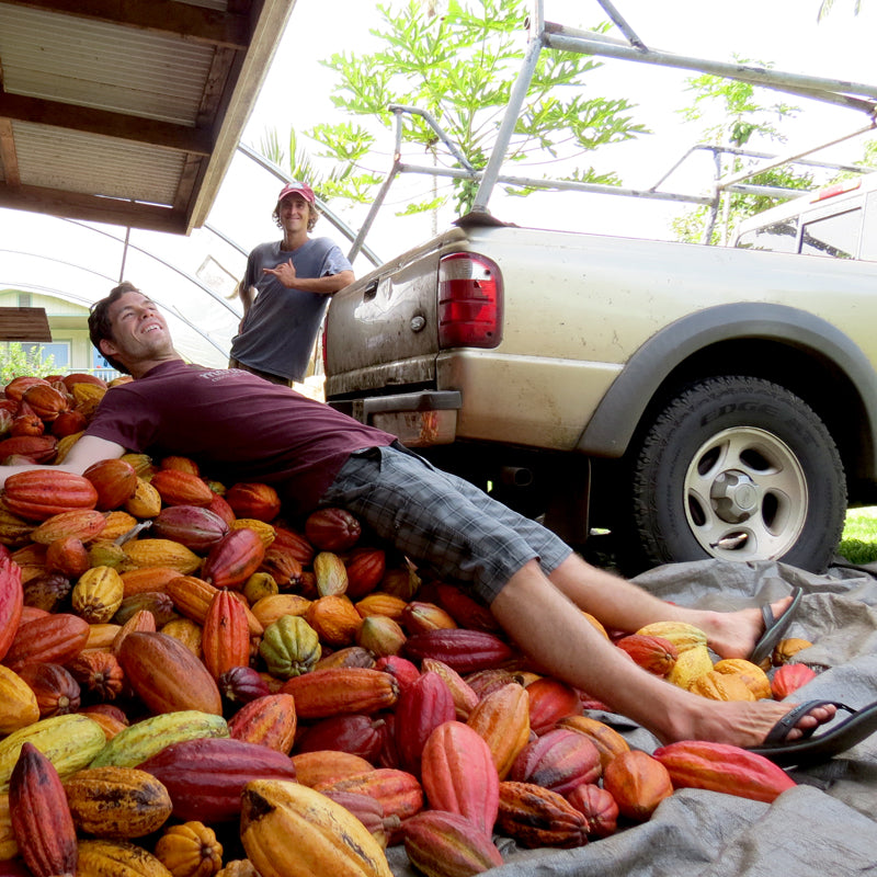 Image of man laying on a heap of cacao pods