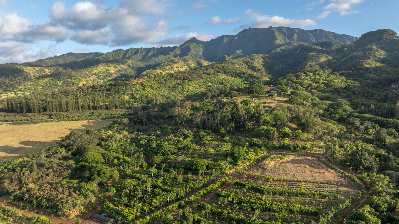 Kamananui Farm Tours – Manoa Chocolate Hawaii