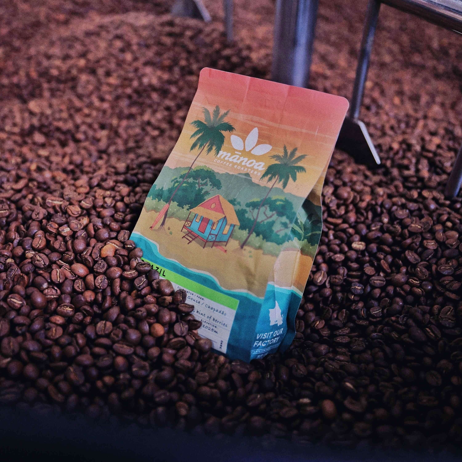image of coffee bag in roaster bed full of beans