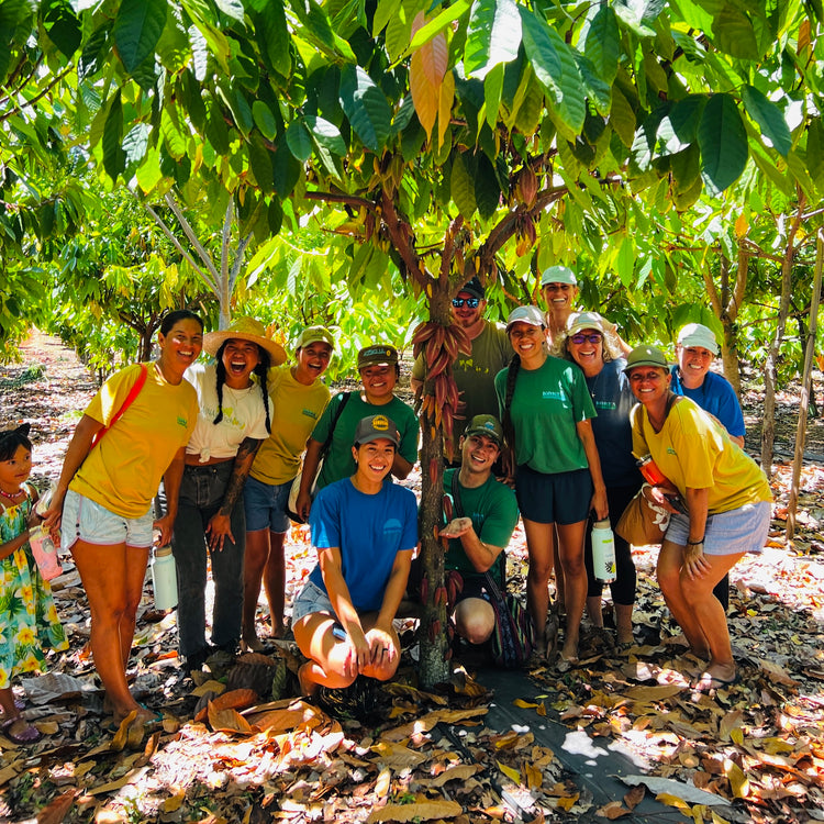 image of the kokua team at the manoa chocolate farm smiling under a cacao tree
