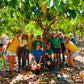 image of the kokua team at the manoa chocolate farm smiling under a cacao tree
