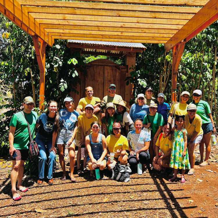 image of the kokua and manoa team members at the kamananui cacao farm 