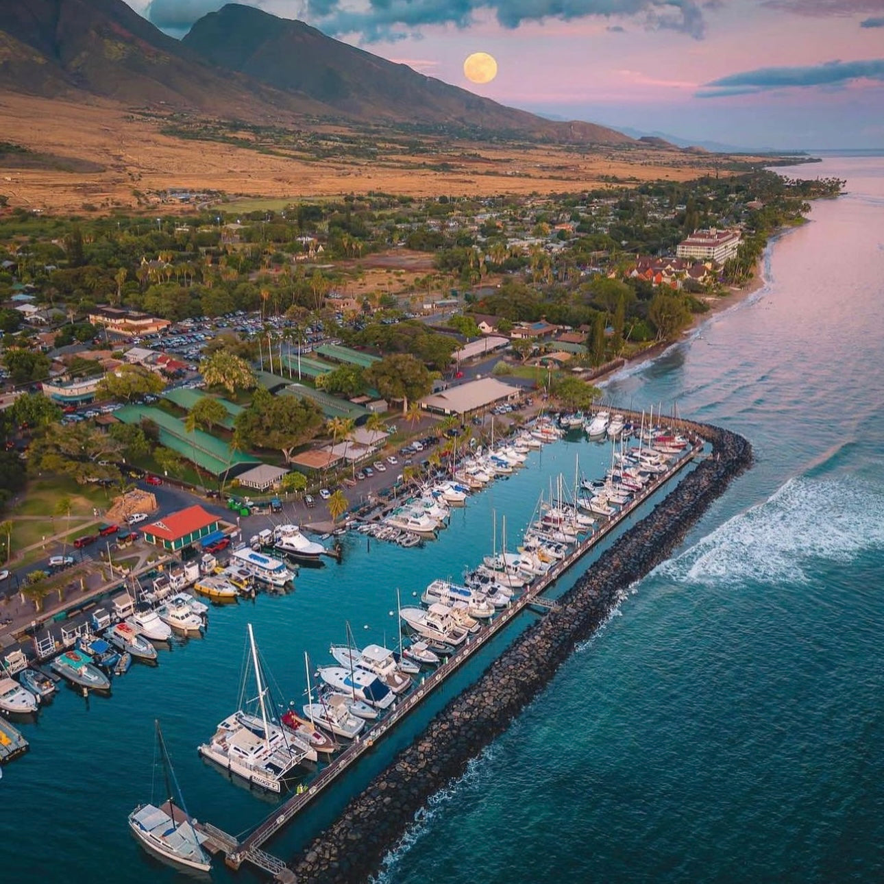 Image of Lahaina boat harbor, before the fire