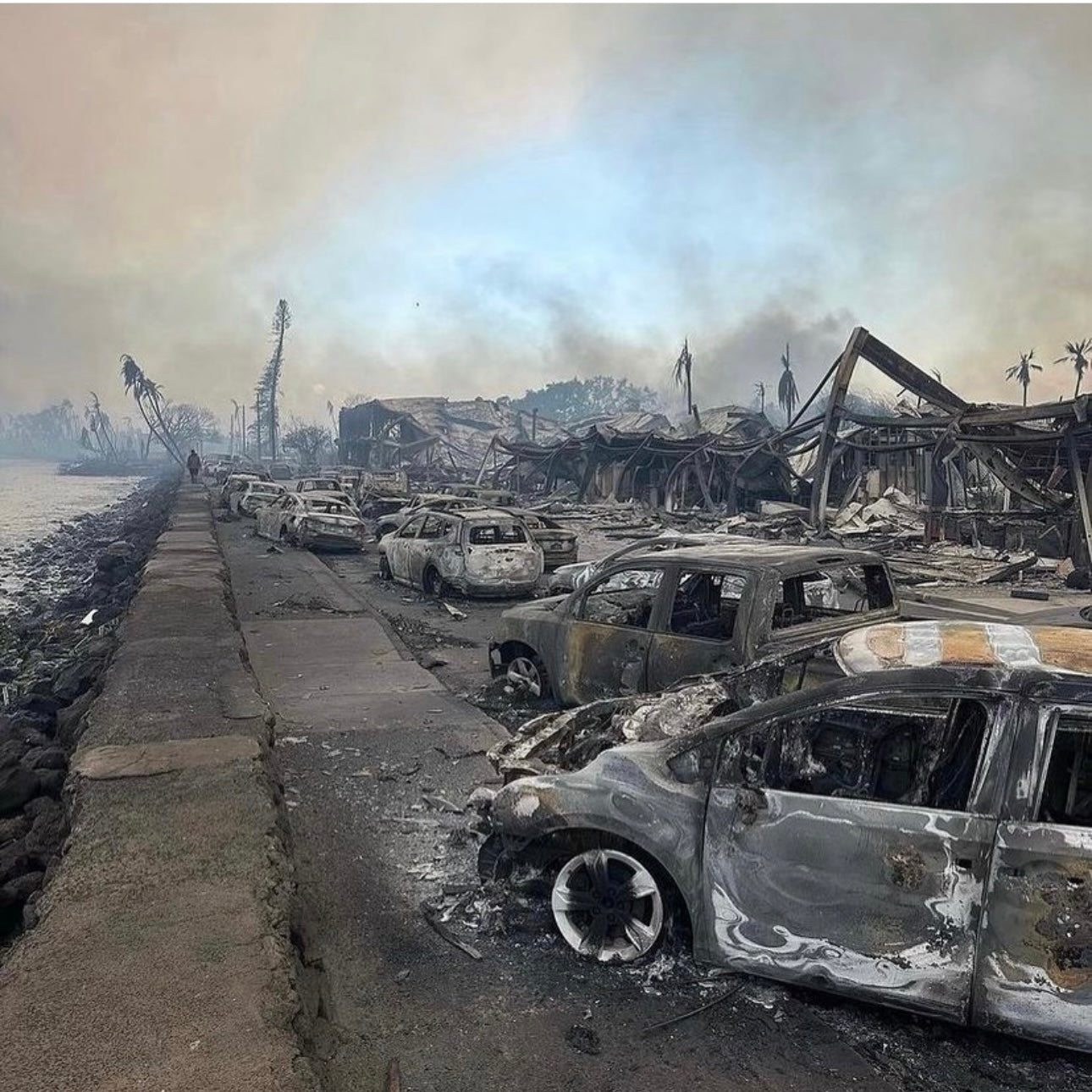 Image of burnt cars and buildings