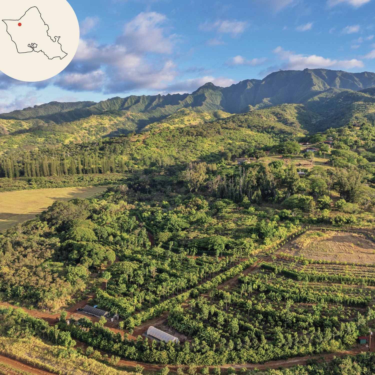 kamananui cacao farm drone image with oahu island map