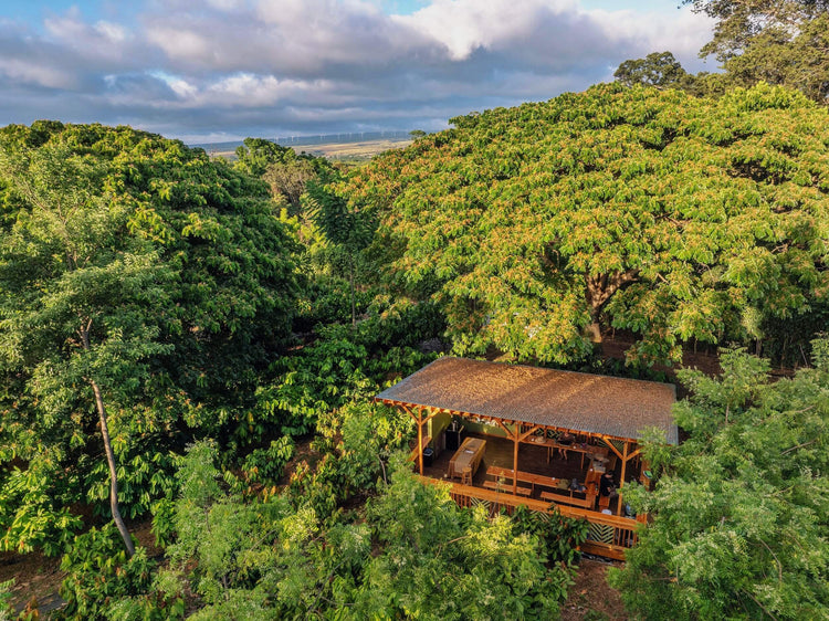 Drone image of the Kamananui tasting room nestled amongst the trees