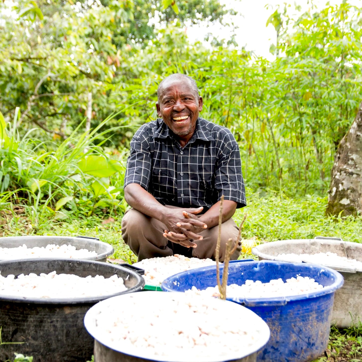 Image of man posing with buckets of wet cacao seeds