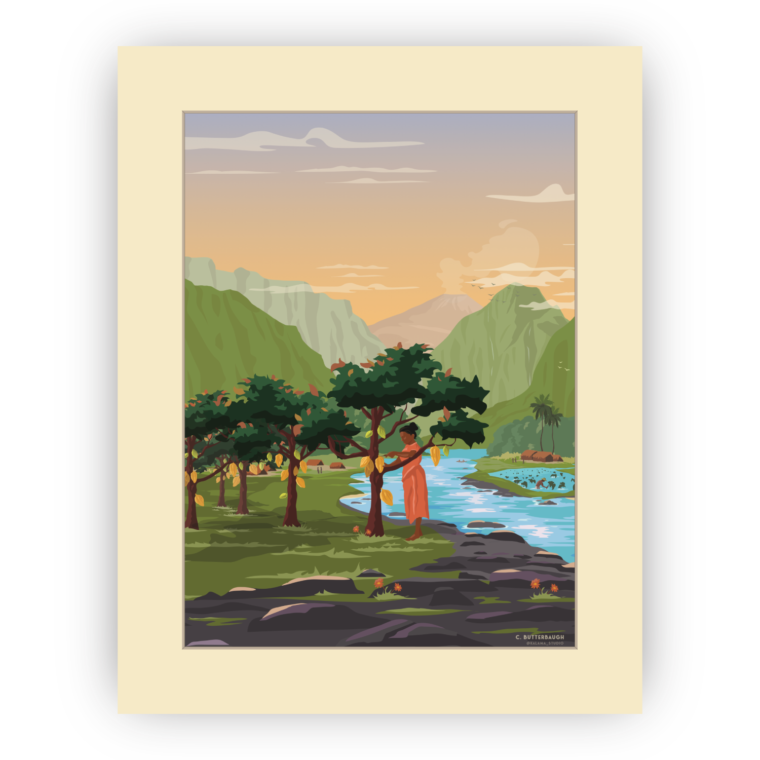 image of hawaiian cacao harvest art print