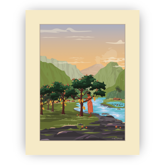 image of hawaiian cacao harvest art print