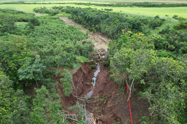 Aerial view of a river cutting through a forest with visible erosion.