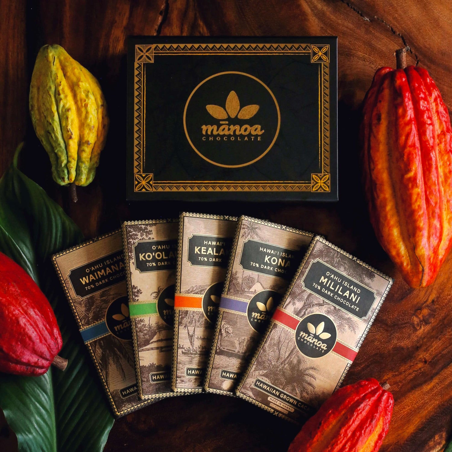 Image of five single origin chocolate bars displayed in a fan next to gift box