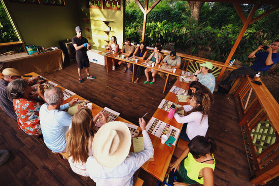 Image of guests doing a chocolate tasting in the Kamananui Farm tasting room