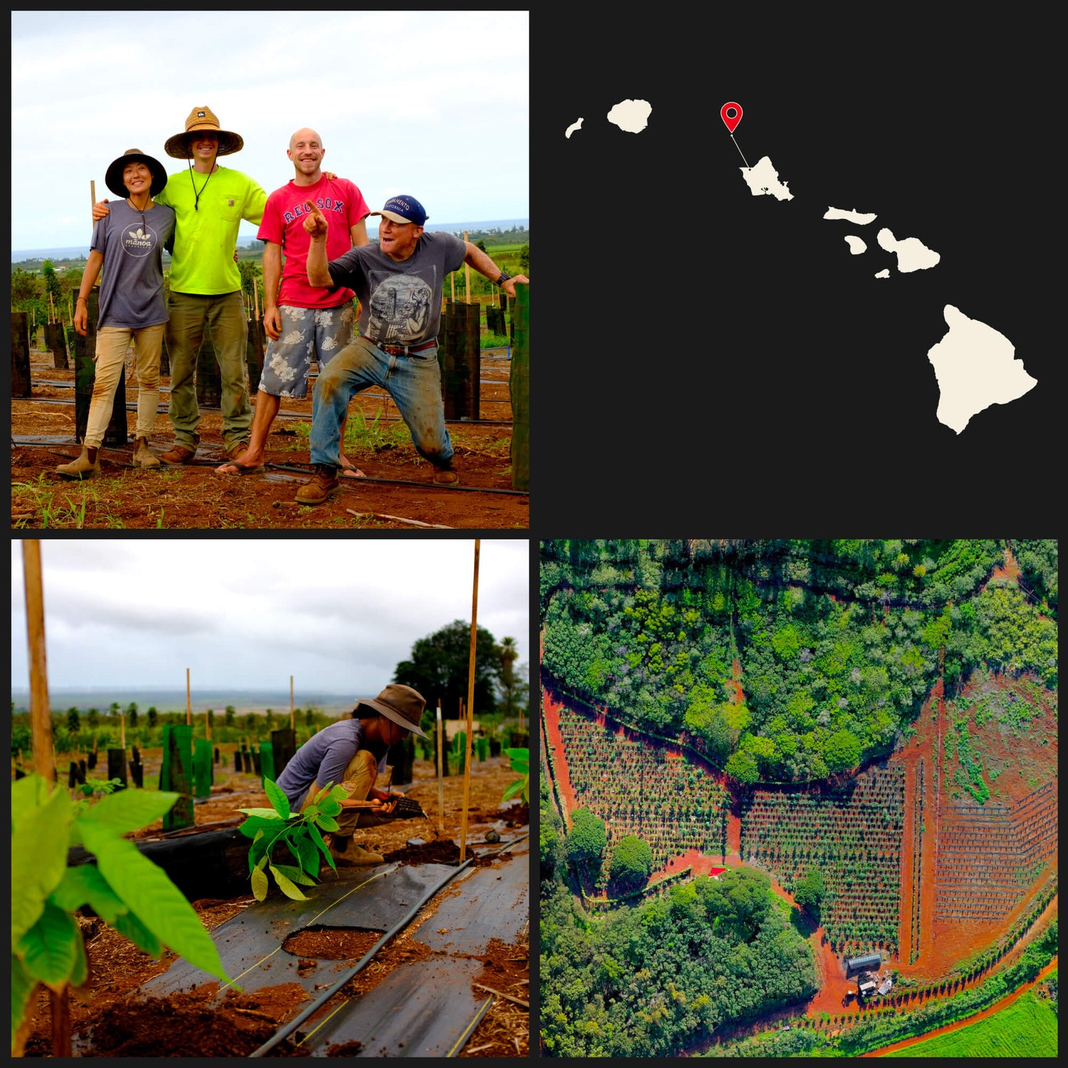 Images of cacao farmers, farmland, and a map of the Hawaiian Islands