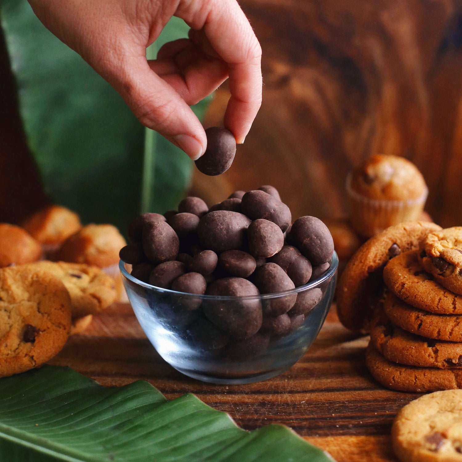 Image of a person picking up a dark chocolate macadamia from a bowl
